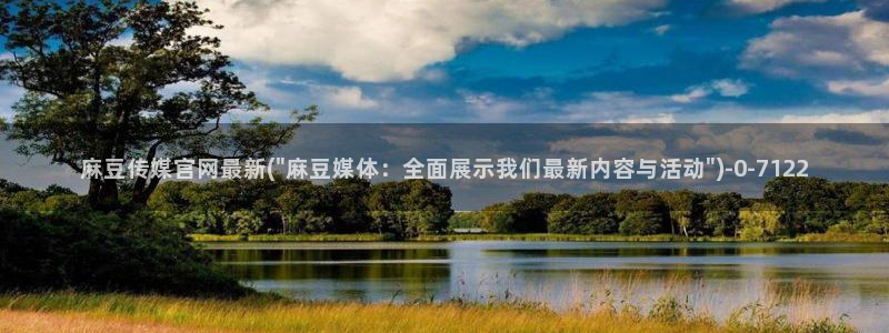 麻豆视频采集