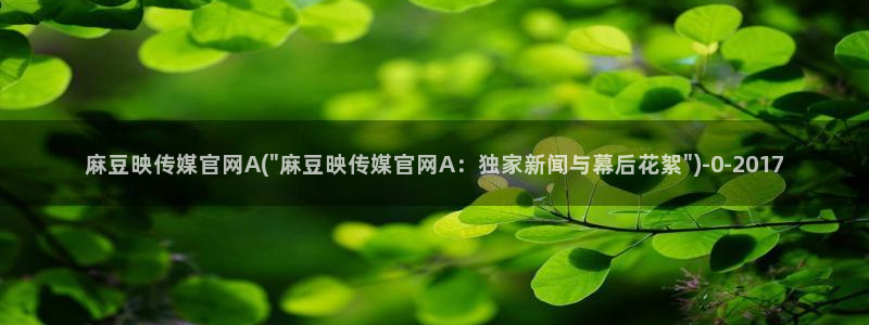 麻豆视频在线看