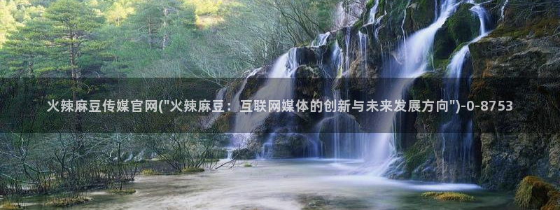 麻豆新片描述：火辣麻豆传媒官网(\