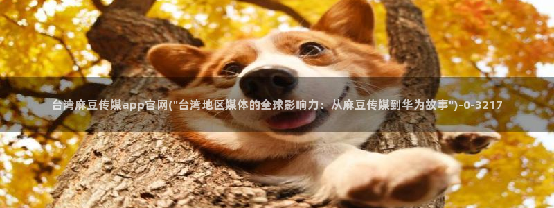 麻豆传媒演员