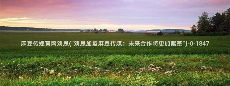 麻豆视频评分