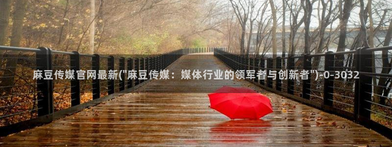 麻豆视频图片规则