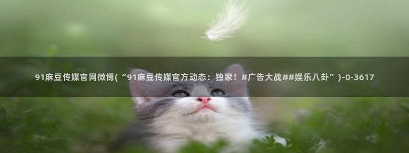 麻豆视频资讯文案