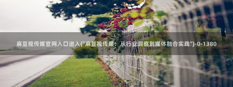 麻豆排行页