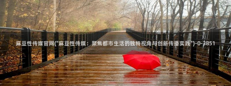麻豆视频版权说明