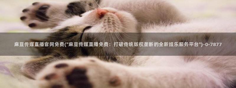 麻豆专题标题
