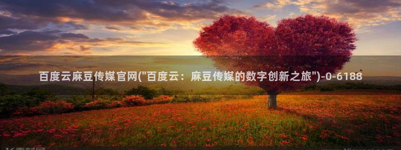 麻豆榜单描述