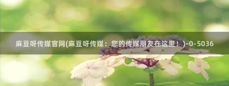 麻豆视频网