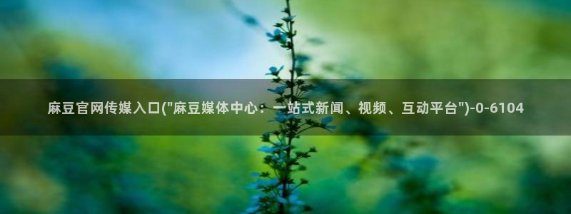 麻豆图片库