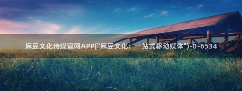麻豆视频