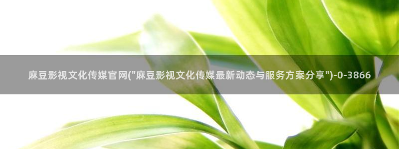 麻豆视频伪原创