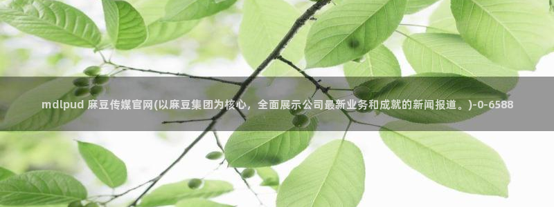 麻豆观看描述