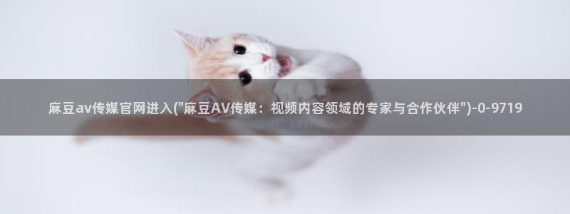 麻豆视频大全