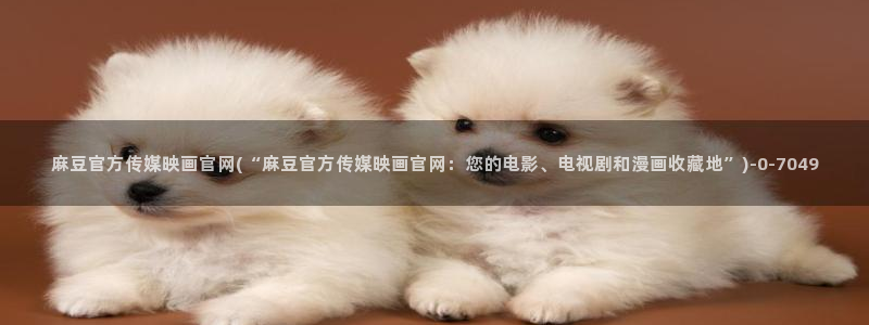 麻豆视频图片规则