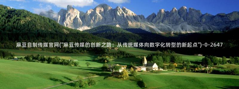 麻豆视频分类规则